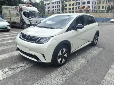 BYD Dolphin · 2024 год