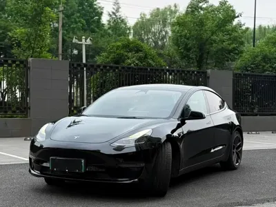 Tesla Model 3 · 2022 год