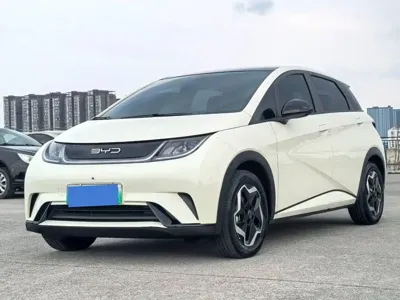 BYD Dolphin · 2023 год