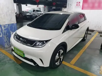 BYD Dolphin · 2024 год