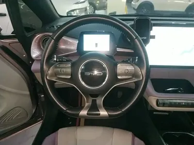 BYD Dolphin 2021, 87500 км, за 46800 CNY - фото 11