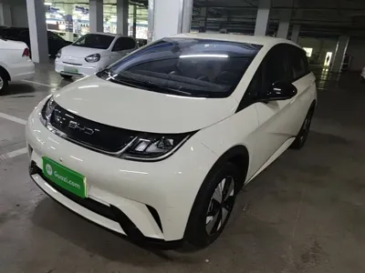 BYD Dolphin · 2023 год
