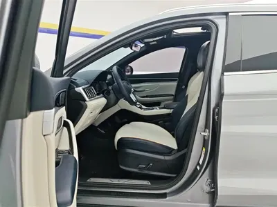 BYD PLUS New Energy 2023, 48000 км, за 79900 CNY - фото 9