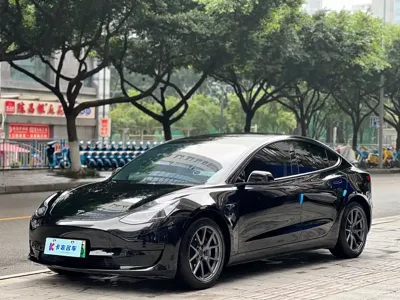 Tesla Model 3 · 2023 год