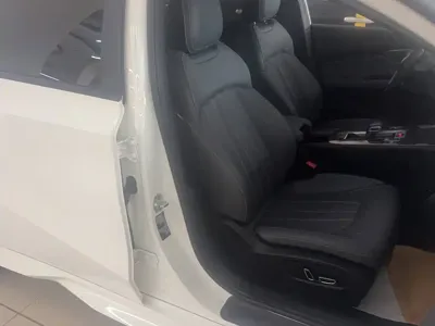 GAC Motor Shadow Leopard 2025, 20299 км, за 88100 CNY - фото 3
