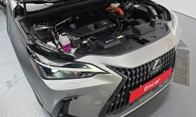 Lexus NX 2024, 31487 км, за 52800000 KRW - фото 6