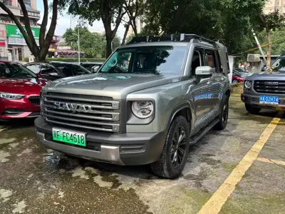 Haval Menglong New Energy · 2024 год