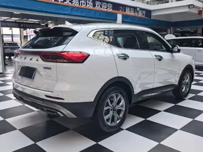 Haval H6 2021, 46000 км, за 72800 CNY - фото 20