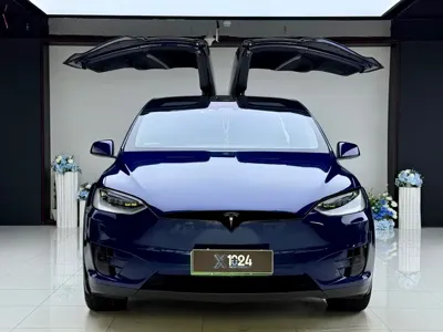 Tesla Model X 2019, 115000 км, за 219800 CNY