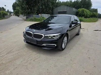 BMW 5 Series · 2019 год