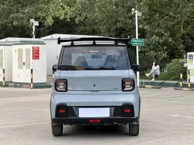 Galaxy Panda 2024, 24000 км, за 28800 CNY - фото 8