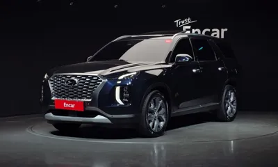 Hyundai Palisade · 2019 год