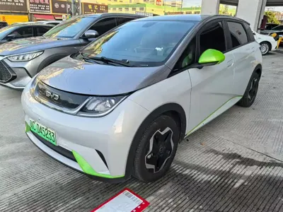 BYD Dolphin · 2022 год