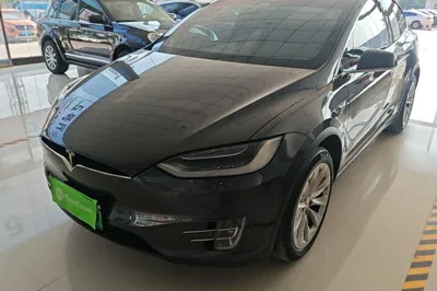Tesla Model X · 2019 год