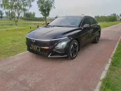 Wuling Xingguang · 2024 год