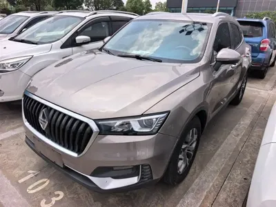 Borgward BX5 · 2019 год