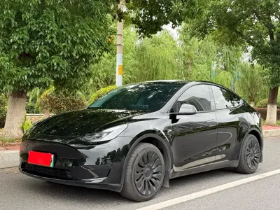 Tesla Model Y · 2024 год