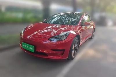Tesla Model 3 · 2021 год