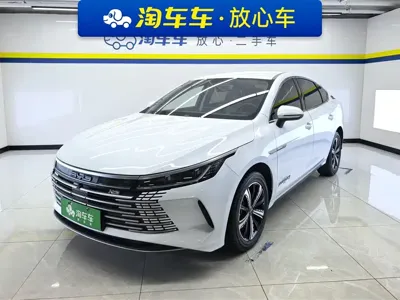BYD Destroyer 05 · 2024 год