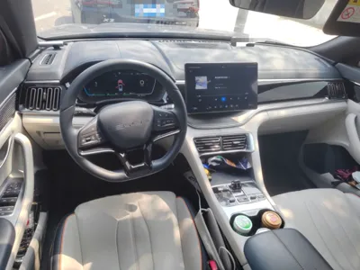 BYD Song PLUS New Energy 2024, 45700 км, за 92669.92 CNY - фото 18