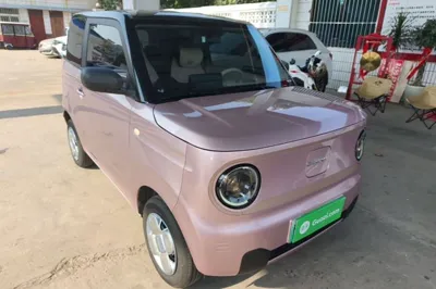 Geely Galaxy Panda 2024, 7000 км, за 6607 USD - фото 3