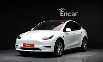 Tesla Model Y · 2024 год