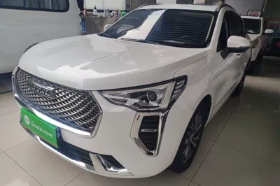 Haval Jolion · 2021 год