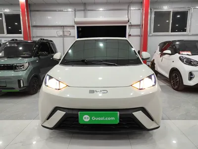 BYD Seagull 2024, 47900 км, за 56674.67 CNY