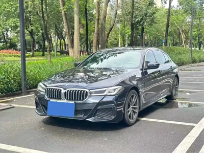 BMW 5 Series New Energy · 2020 год