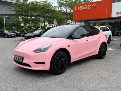 Tesla Model Y · 2022 год