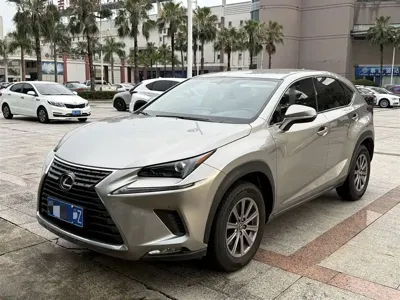 Lexus NX · 2020 год