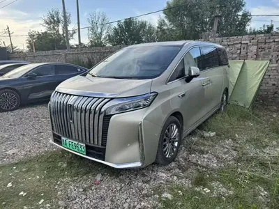 WEY Wey Gaoshan · 2024 год