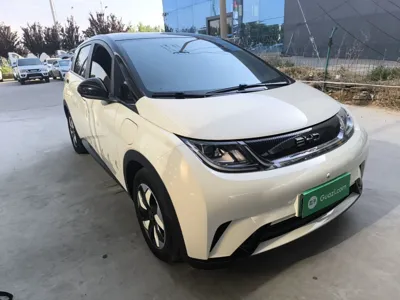 BYD Dolphin 2025, 16400 км, за 78816.18 CNY