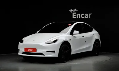 Tesla Model Y · 2024 год