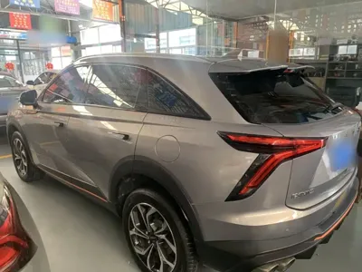 Haval Shenshou 2022, 48800 км, за 71300 CNY - фото 8