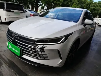 BYD Destroyer 05 · 2023 год
