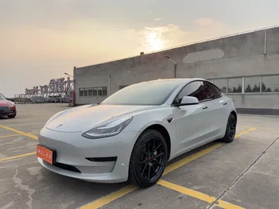 Tesla Model 3 · 2019 год