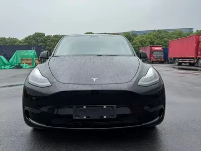 Tesla Model Y · 2021 год