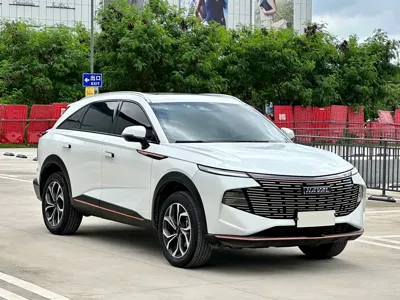 Haval Shenshou 2022, 120000 км, за 49800 CNY - фото 3
