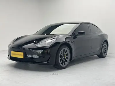 Tesla Model 3 · 2023 год