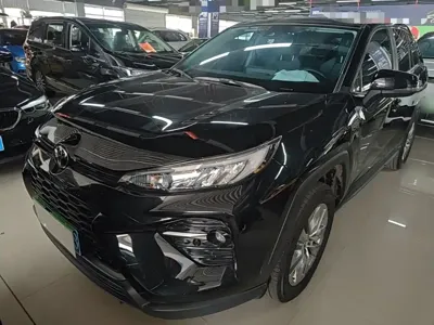 Toyota Wildlander · 2024 год
