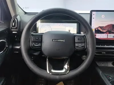 Haval 哈弗大狗 PLUS 2023, 40599 км, за 84200 CNY - фото 15