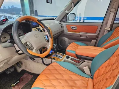 Hyundai Terracan 2004, 252000 км, за 6500000 KRW - фото 10