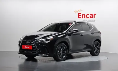 Lexus NX · 2024 год
