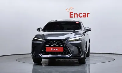 Lexus NX 2025, 22596 км, за 53800000 KRW