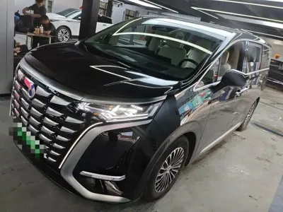 Denza Denza D9 · 2024 год