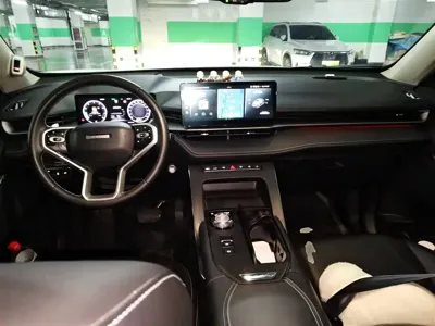Haval H6 2022, 41900 км, за 48500 CNY - фото 10
