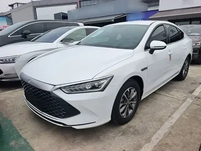 BYD Qin Plus · 2024 год