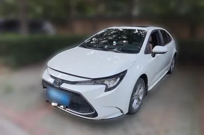 Toyota Levin · 2019 год