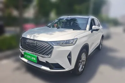 Haval H6 · 2021 год